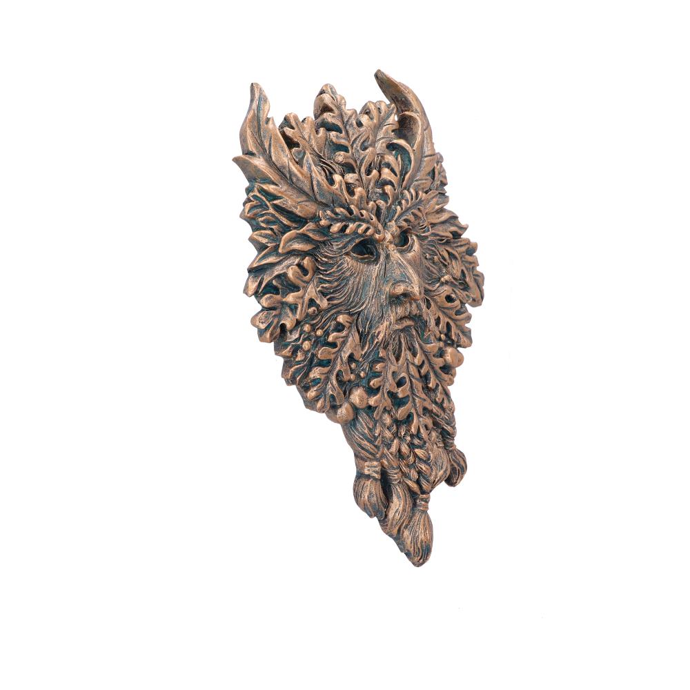Bronze Spirit of the Ents Hanging Wall Plaque 20cm 4
