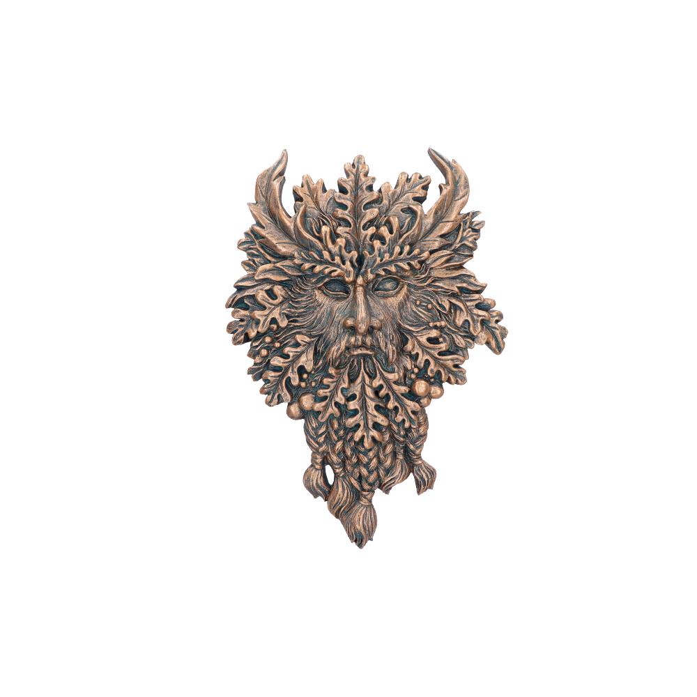 Bronze Spirit of the Ents Hanging Wall Plaque 20cm 1