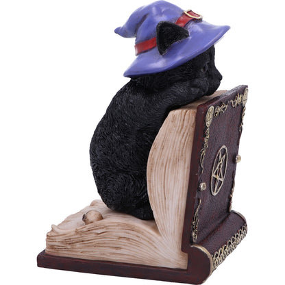 Peekaboo Witch Cat Bookend Peek-a-Boo 20cm 5