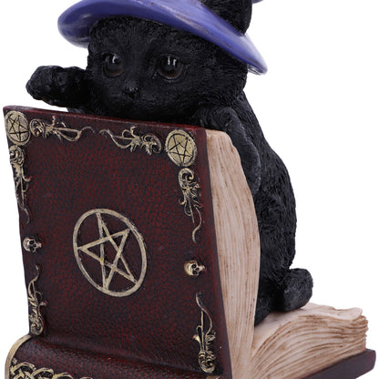 Peekaboo Witch Cat Bookend Peek-a-Boo 20cm 6