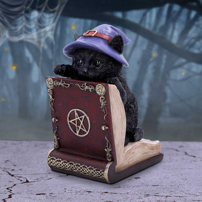 Peekaboo Witch Cat Bookend Peek-a-Boo 20cm 7