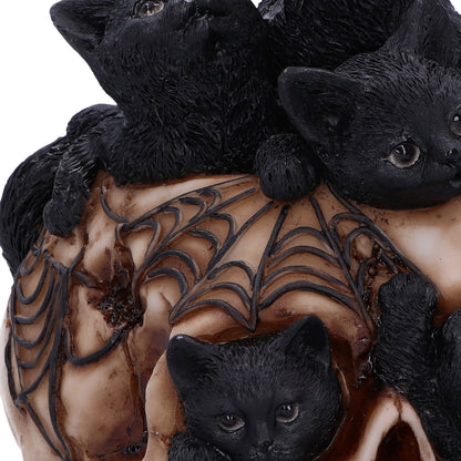 Cranial Litter Skull 14cm Resin Statue 6