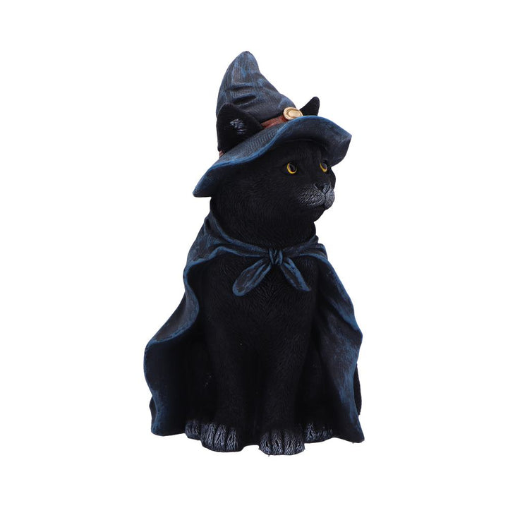 Bewitching Witch Cat Figurine 18.5cm 4