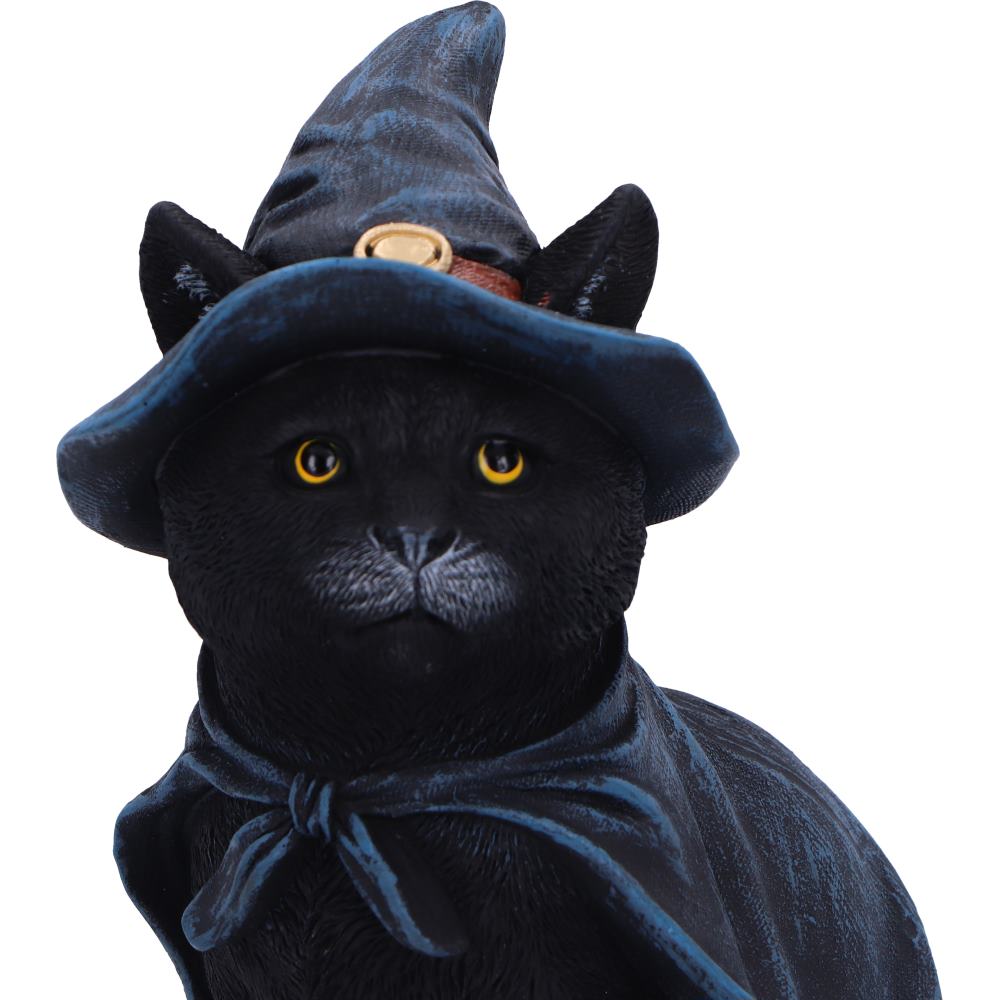 Bewitching Witch Cat Figurine 18.5cm 5