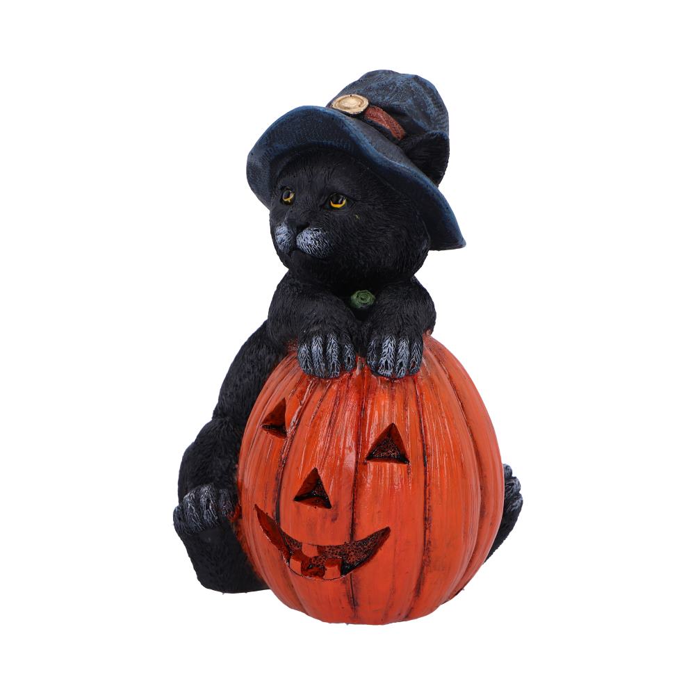 Trick or Treat Cat with Pumpkin Figurine 13cm Resin Statue for Halloween 2