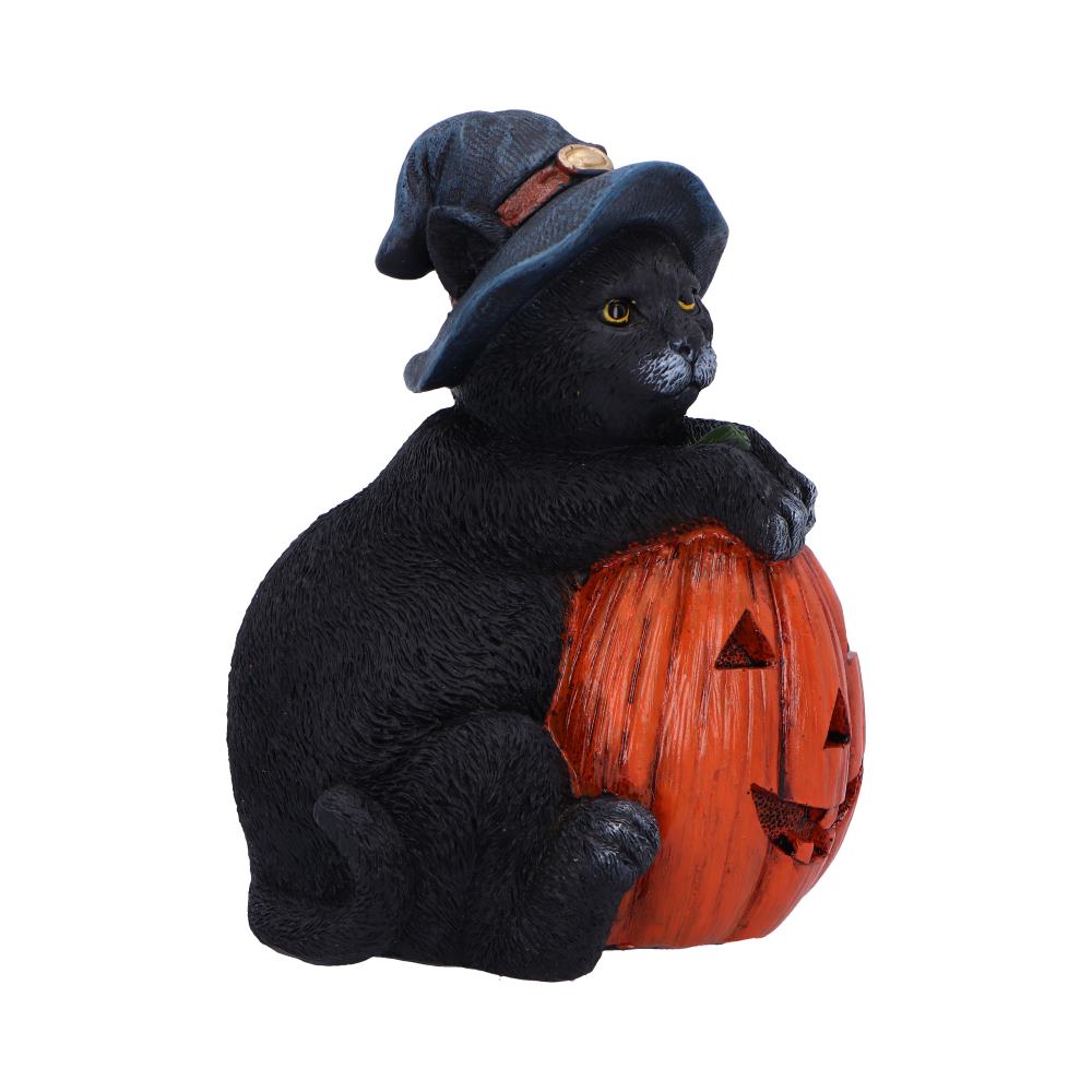 Trick or Treat Cat with Pumpkin Figurine 13cm Resin Statue for Halloween 4