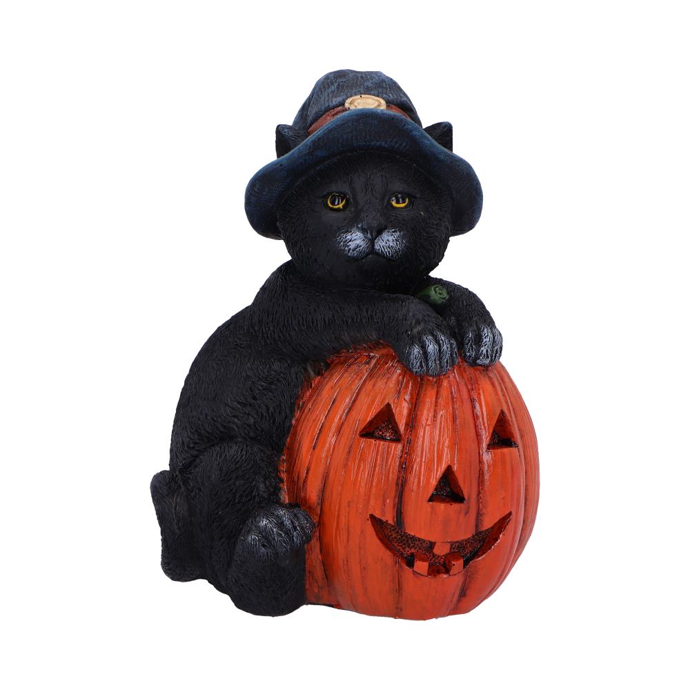 Trick or Treat Cat with Pumpkin Figurine 13cm Resin Statue for Halloween 1