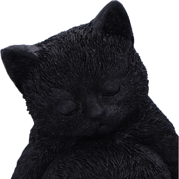 Daydream Sleeping Black Cat Figurine 13cm 5