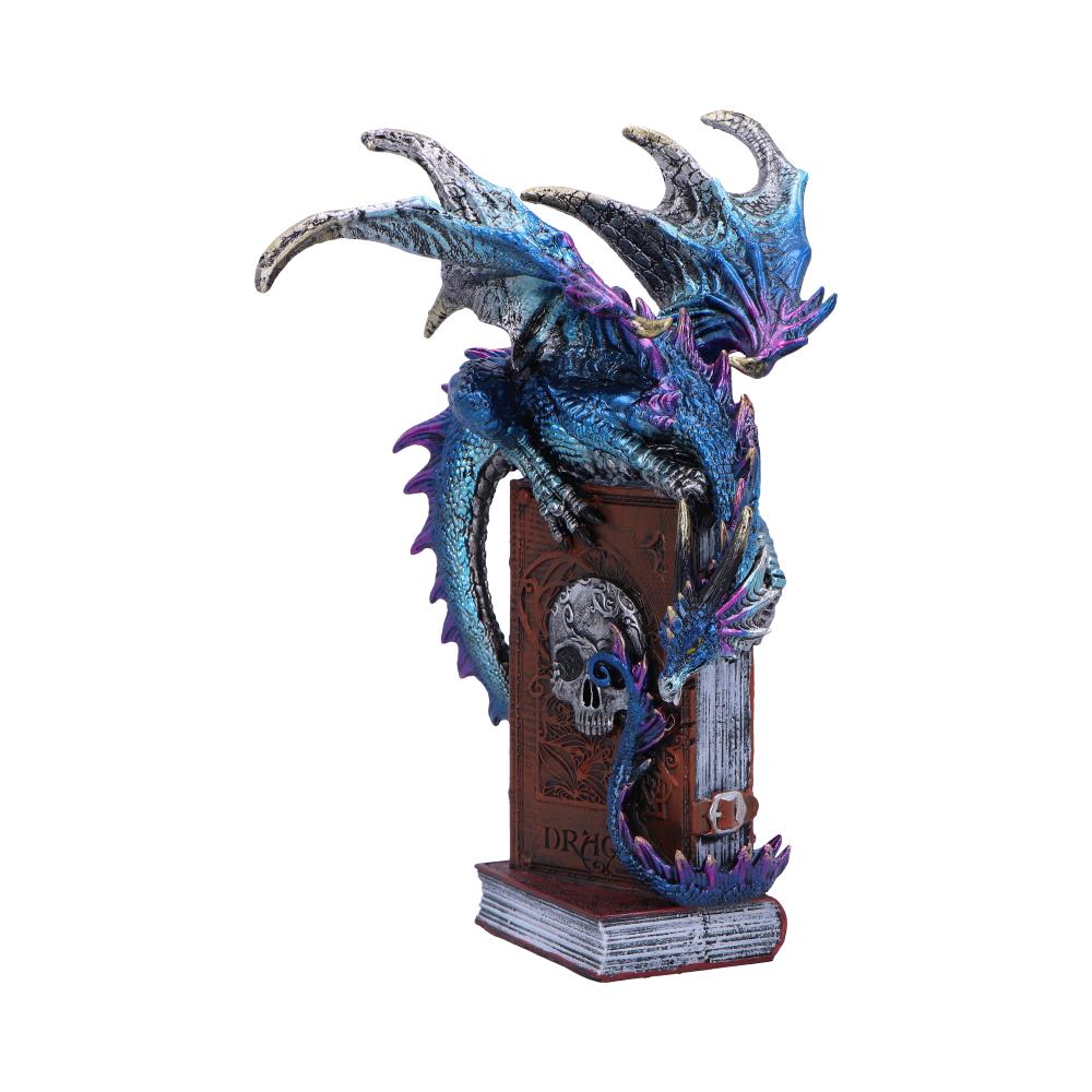 A Tale of Dragons Skull Book Figurine 22cm 2