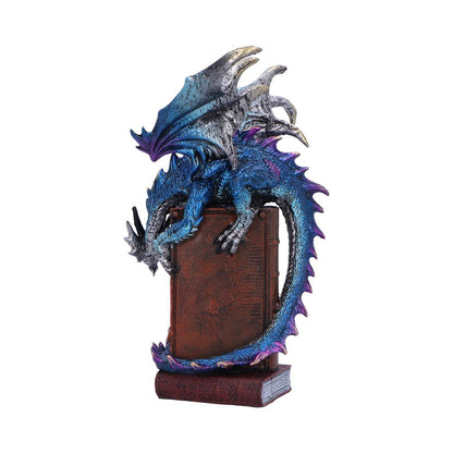 A Tale of Dragons Skull Book Figurine 22cm 3