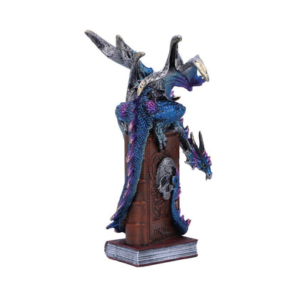 A Tale of Dragons Skull Book Figurine 22cm 4