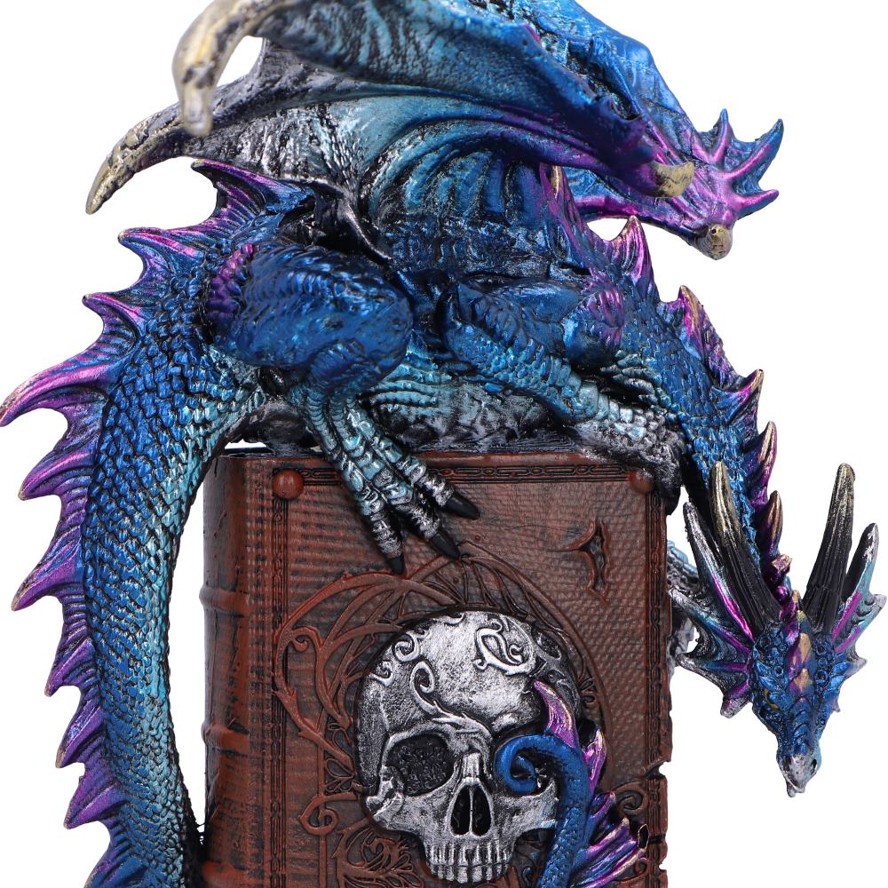 A Tale of Dragons Skull Book Figurine 22cm 5
