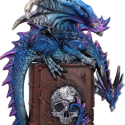 A Tale of Dragons Skull Book Figurine 22cm 5