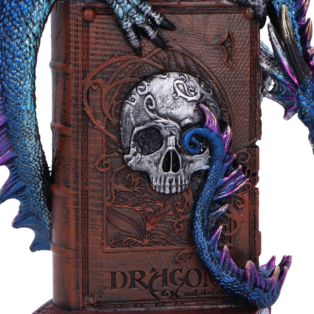 A Tale of Dragons Skull Book Figurine 22cm 6