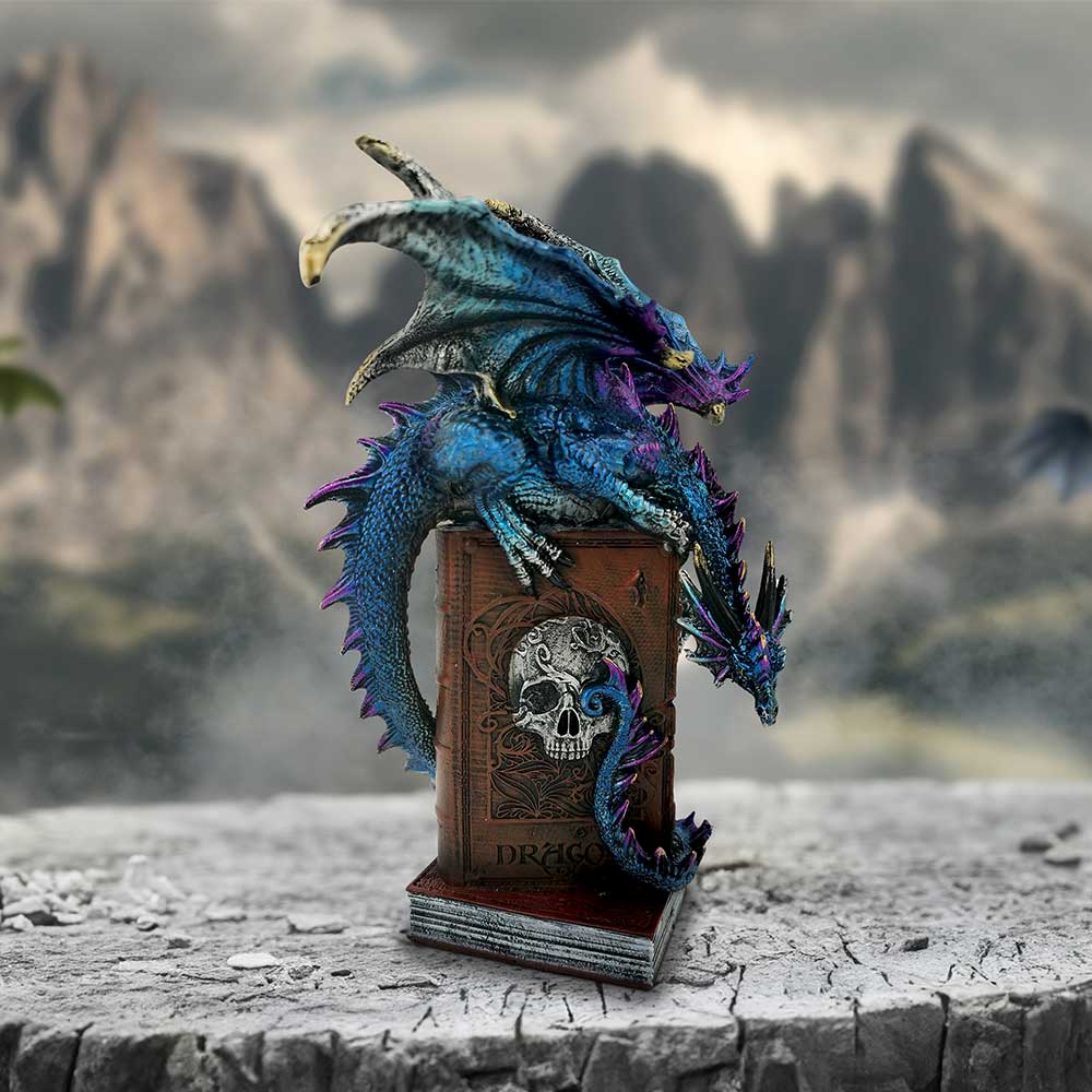 A Tale of Dragons Skull Book Figurine 22cm 7