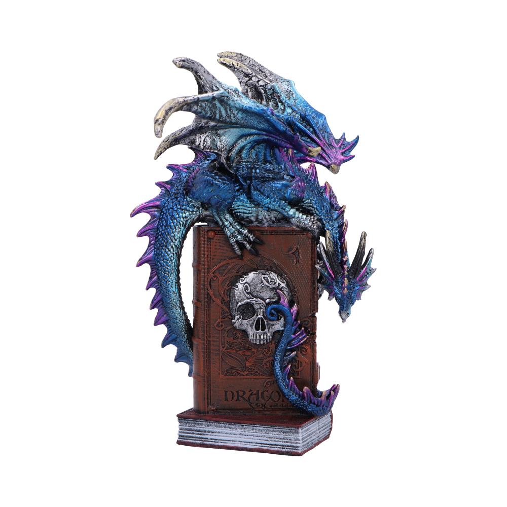 A Tale of Dragons Skull Book Figurine 22cm 1
