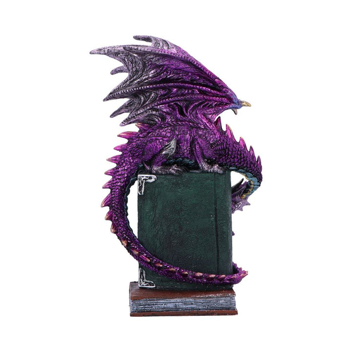 Dragon Fable Purple on Book Figurine 24cm 3
