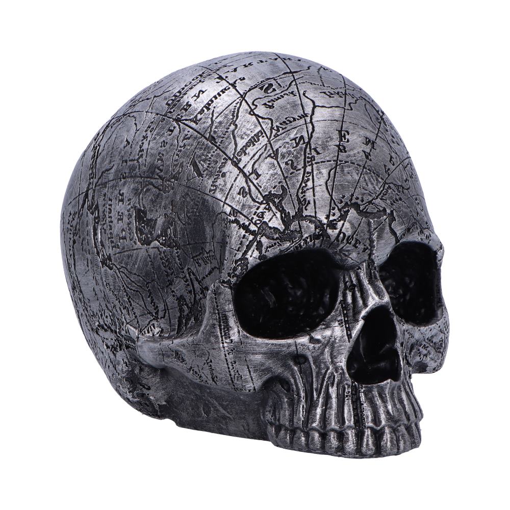 Mind Map Skull Head 15cm 1