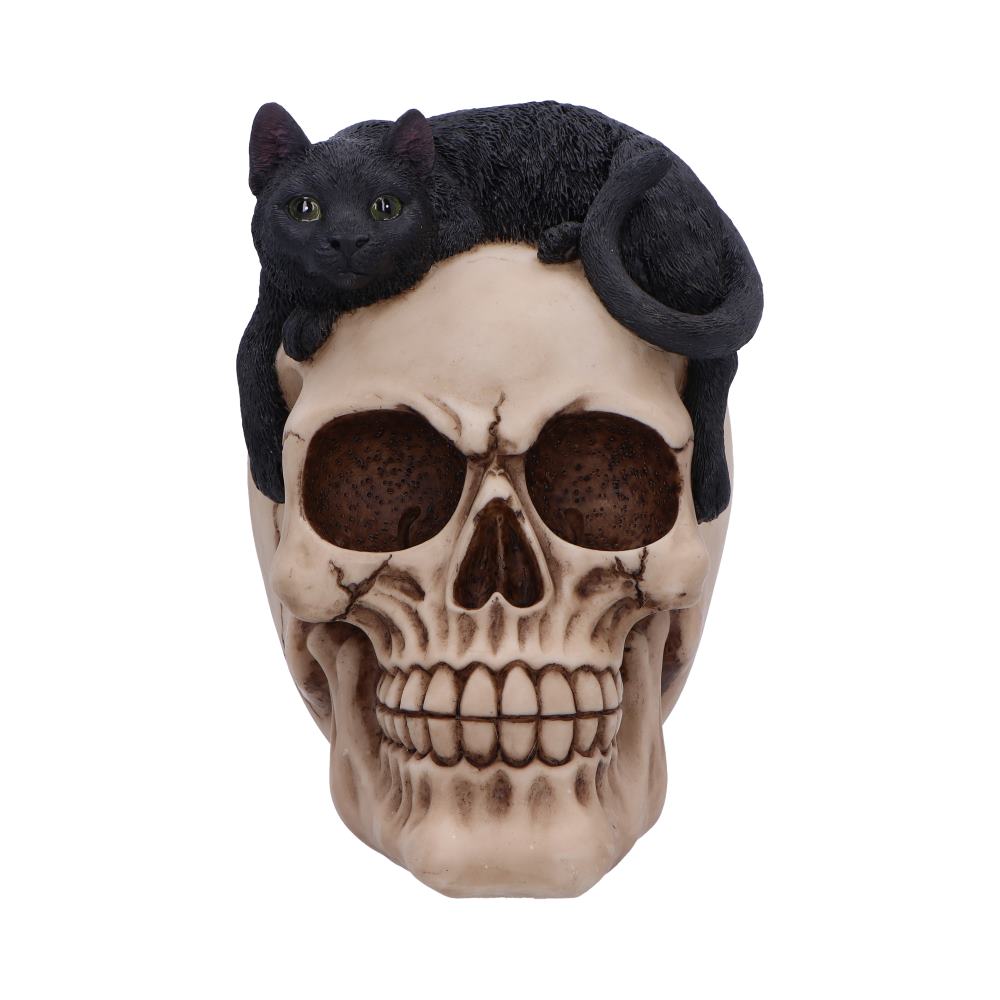 Forever Friend Black Cat Skull Head 14.5cm 2