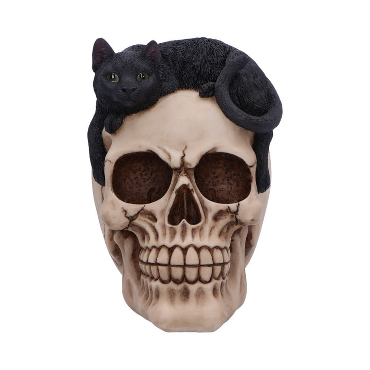Forever Friend Black Cat Skull Head 14.5cm 2