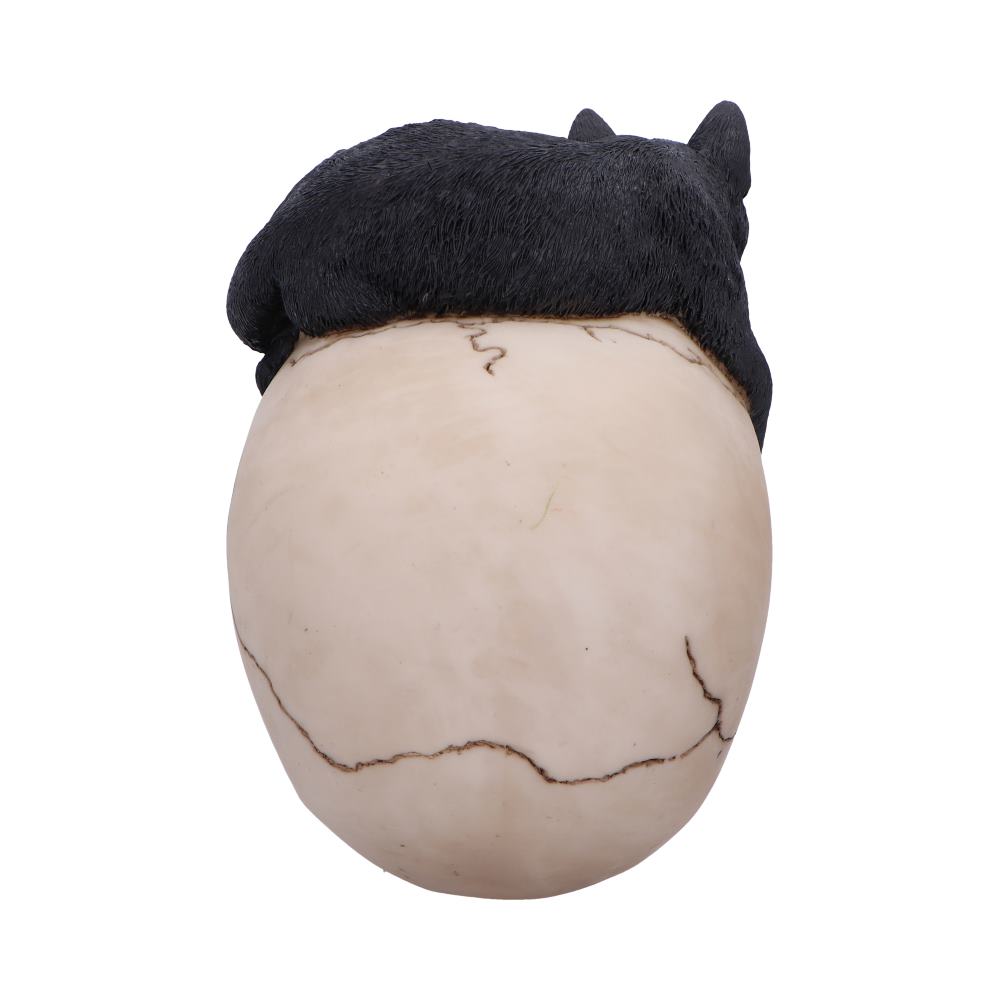 Forever Friend Black Cat Skull Head 14.5cm 3
