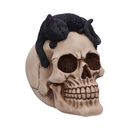 Forever Friend Black Cat Skull Head 14.5cm 1