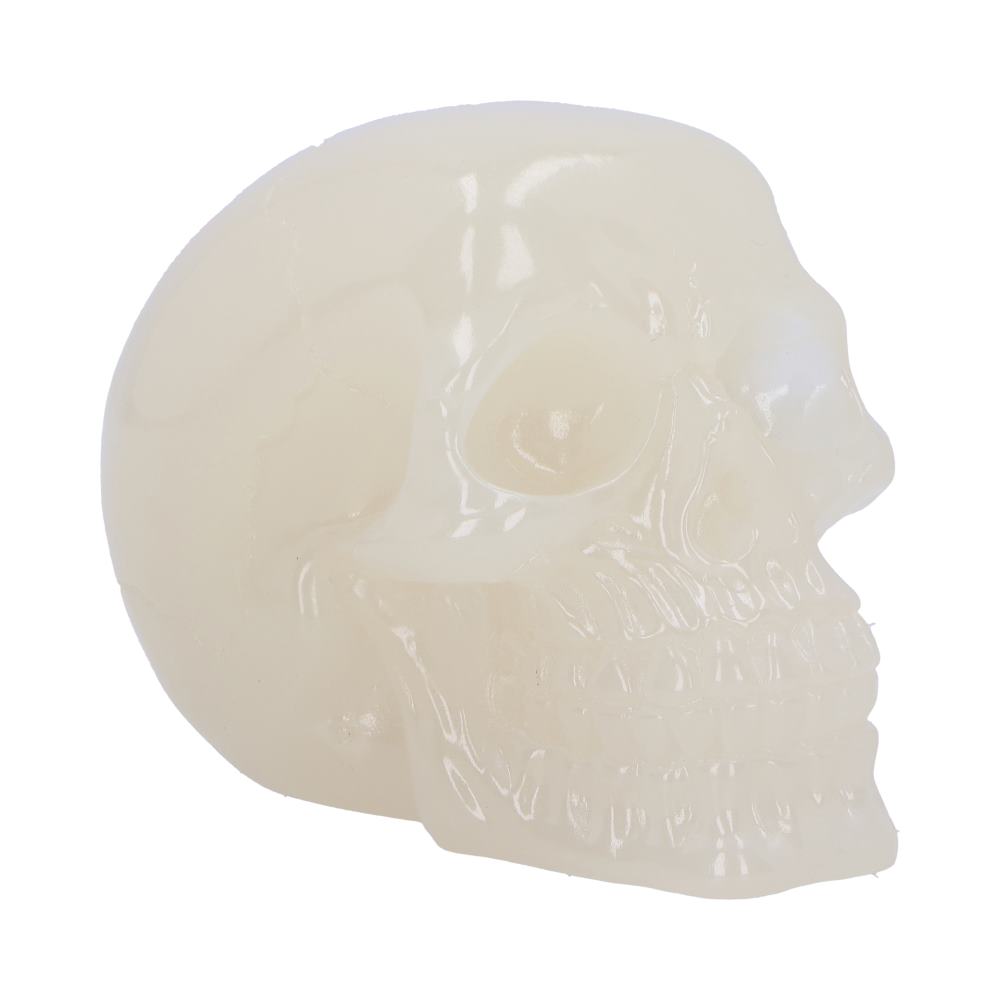 Phosphorescent Skull Head 10.5cm Small