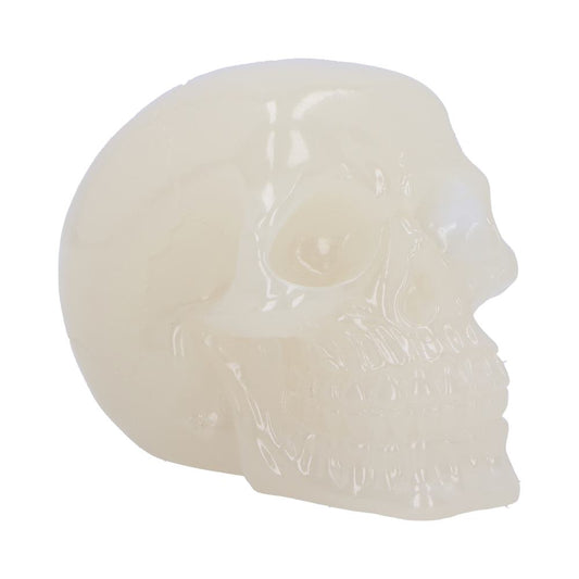 Phosphorescent Skull Head 10.5cm Small 1