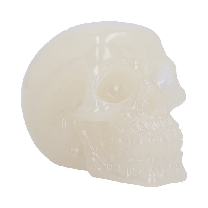 Phosphorescent Skull Head 10.5cm Small