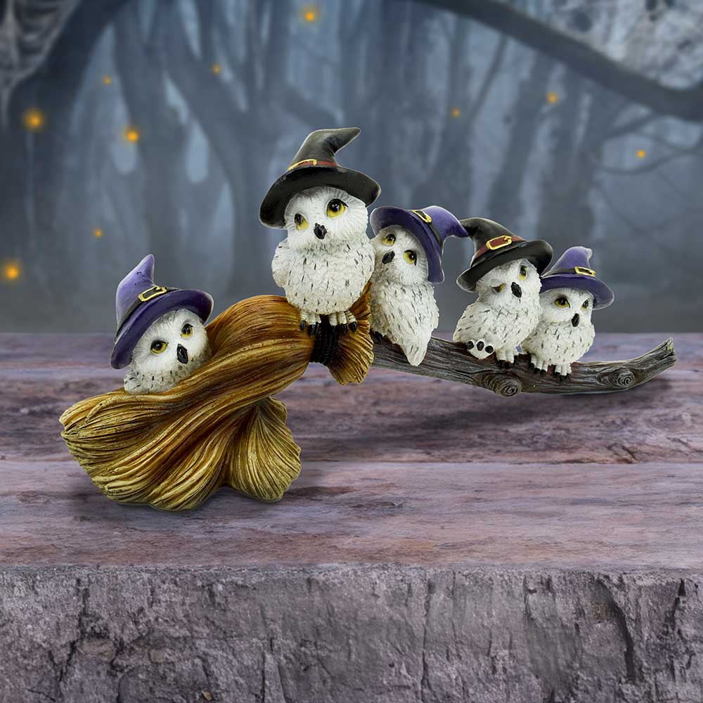 Feathered Owls on Broomstick Figurine 26cm 7