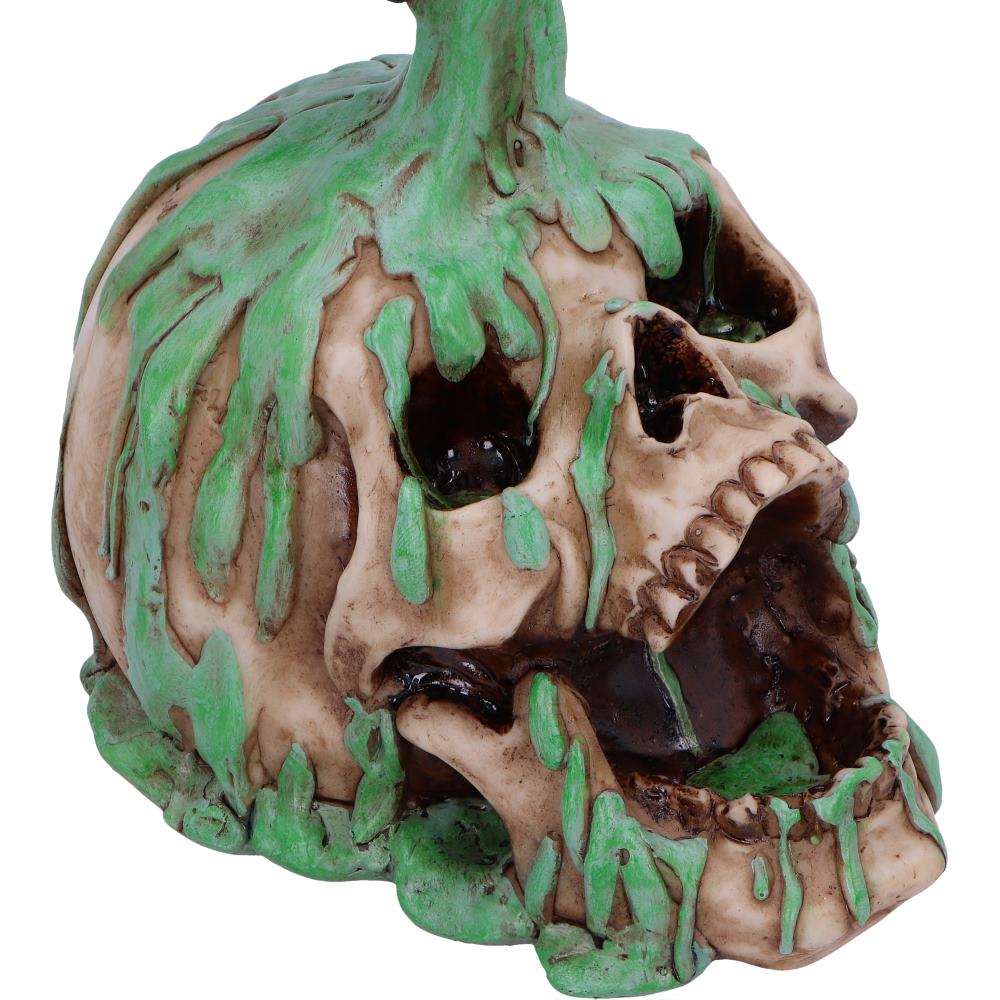 Fatal Elixer Skull Ornament Elixir 19.2cm 5