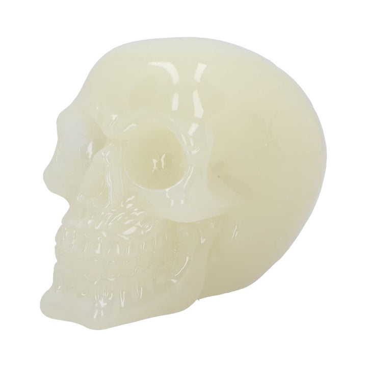 Phosphorescent Glow in the Dark Skull Medium 13cm 4