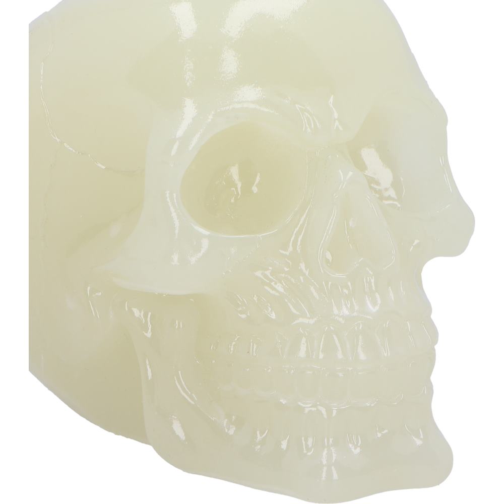 Phosphorescent Glow in the Dark Skull Medium 13cm 5