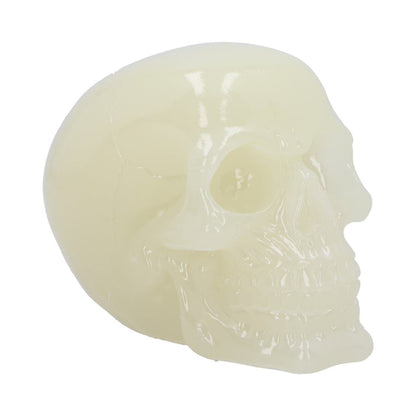 Phosphorescent Glow in the Dark Skull Medium 13cm 1