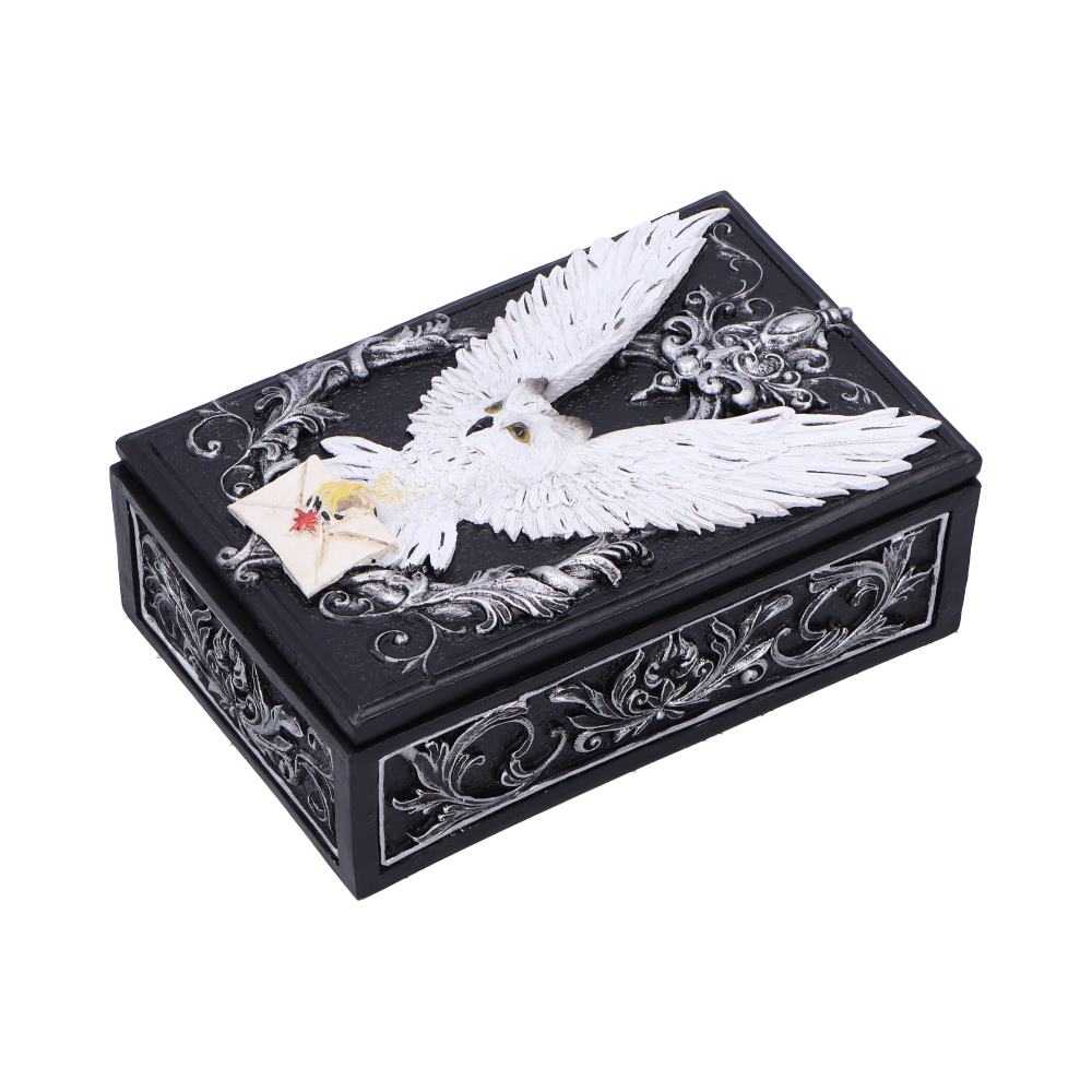 Owl Messenger Trinket Box 14cm 2