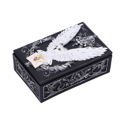 Owl Messenger Trinket Box 14cm 2