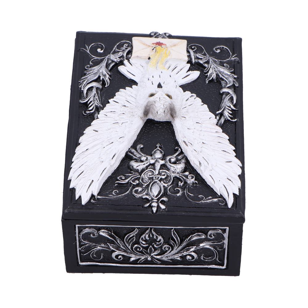 Owl Messenger Trinket Box 14cm 3