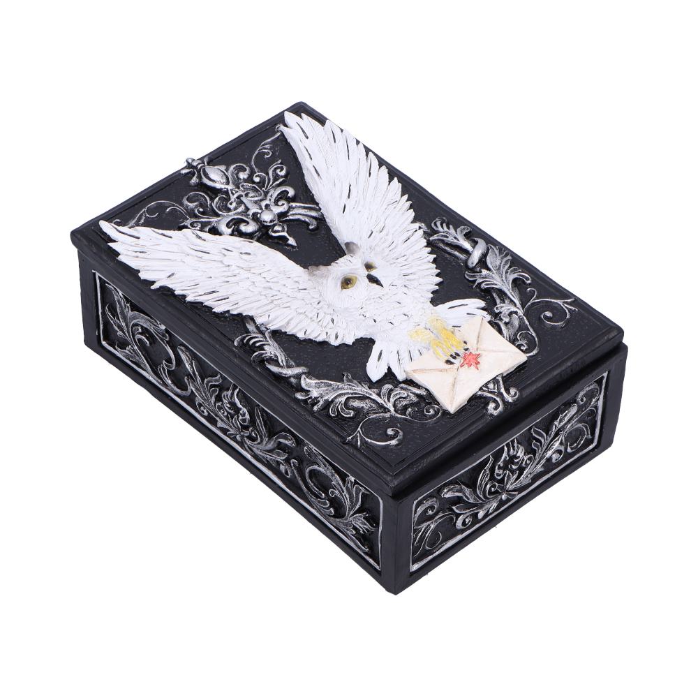 Owl Messenger Trinket Box 14cm 4