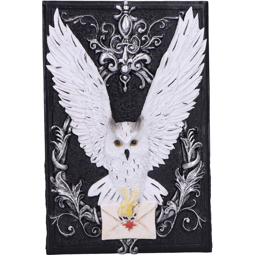 Owl Messenger Trinket Box 14cm 5