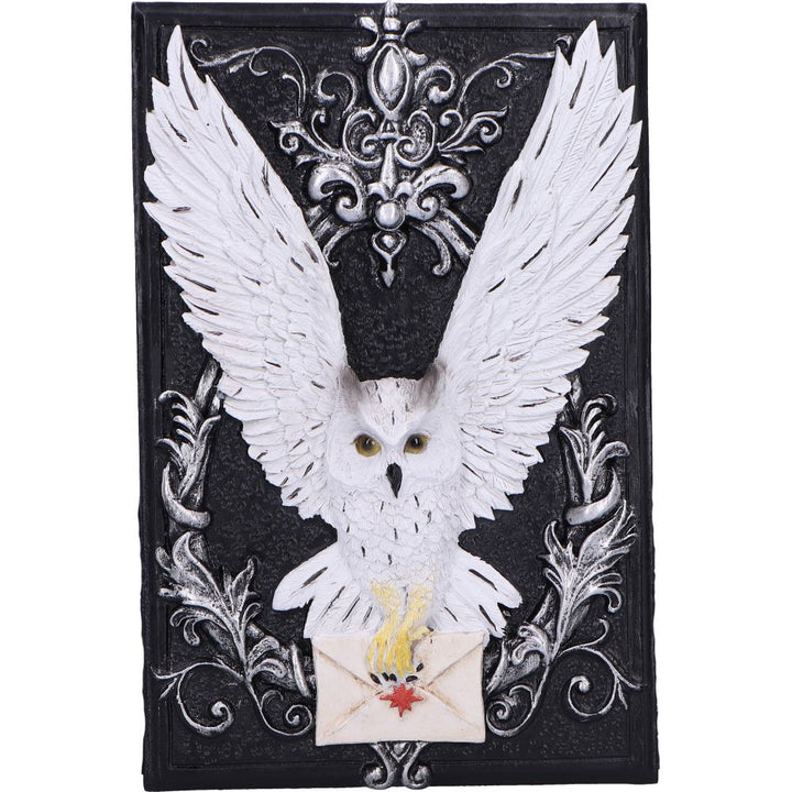 Owl Messenger Trinket Box 14cm 5