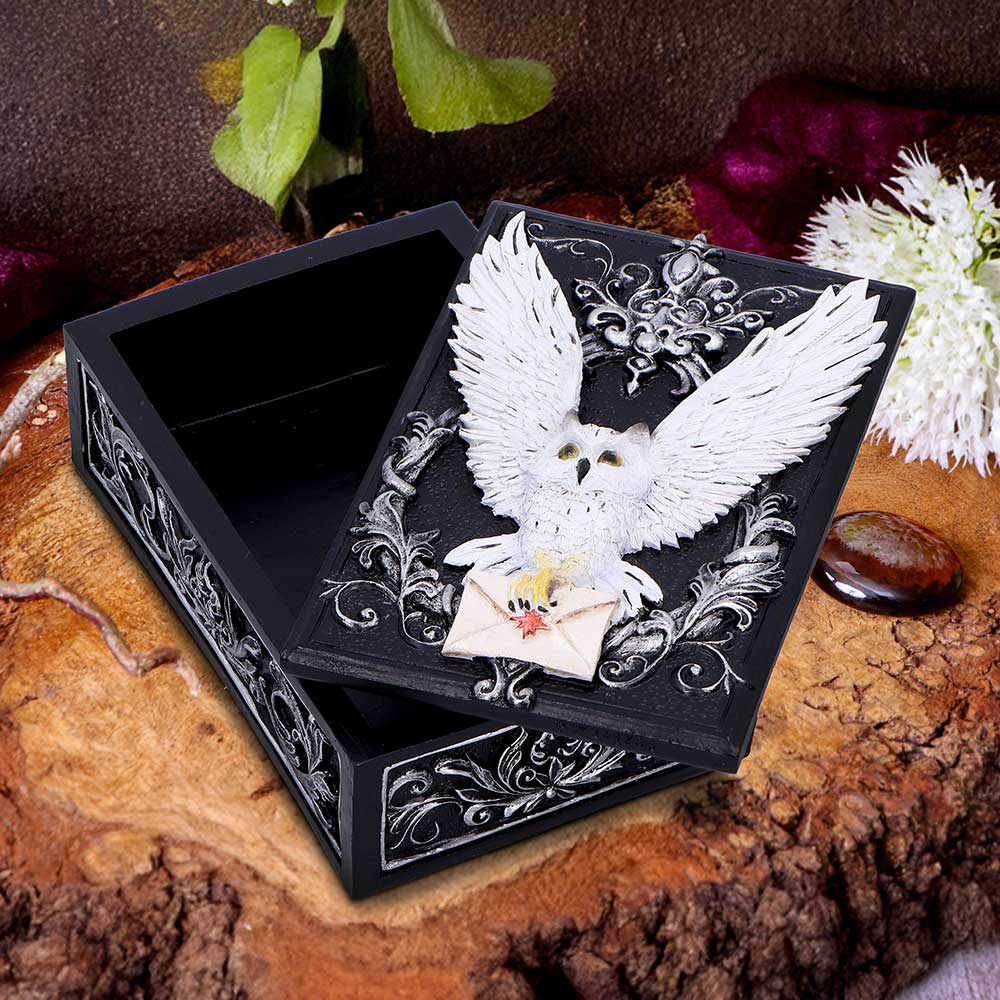Owl Messenger Trinket Box 14cm 7