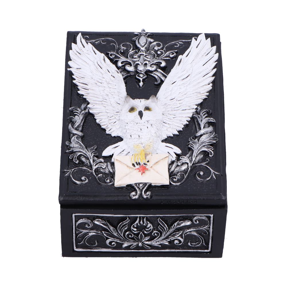 Owl Messenger Trinket Box 14cm 1