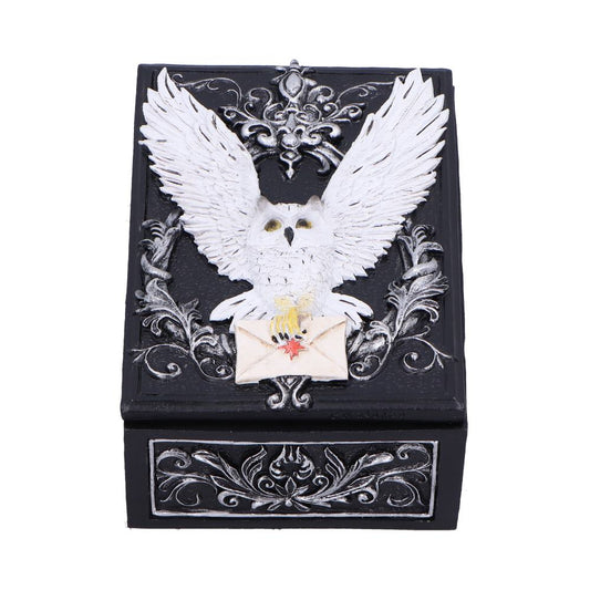 Owl Messenger Trinket Box 14cm 1