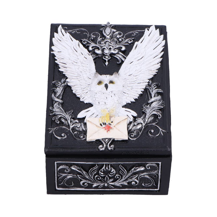 Owl Messenger Trinket Box 14cm 1