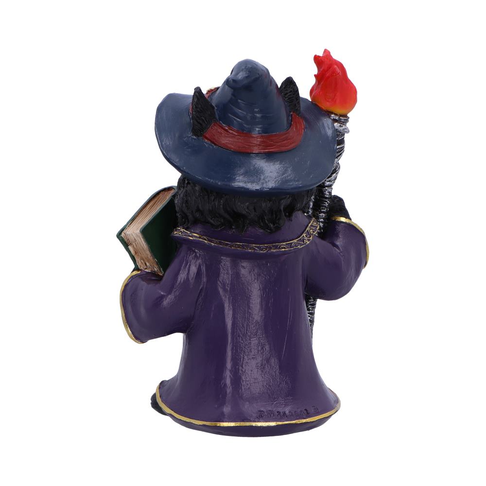 Magnus a Fantasy Wizard Cat Figurine 15cm 3