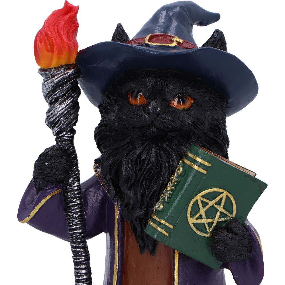 Magnus a Fantasy Wizard Cat Figurine 15cm 5