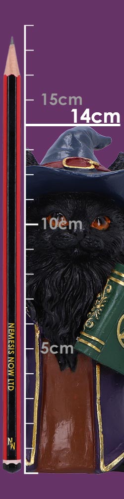 Magnus a Fantasy Wizard Cat Figurine 15cm 8