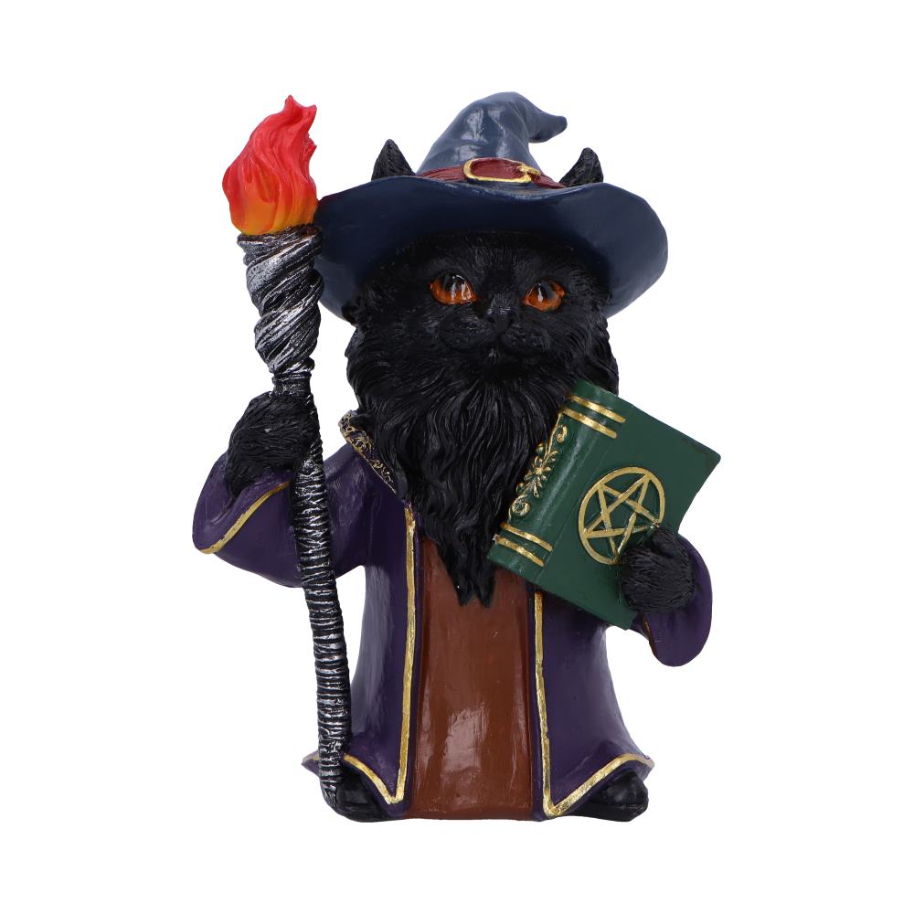 Magnus a Fantasy Wizard Cat Figurine 15cm 1