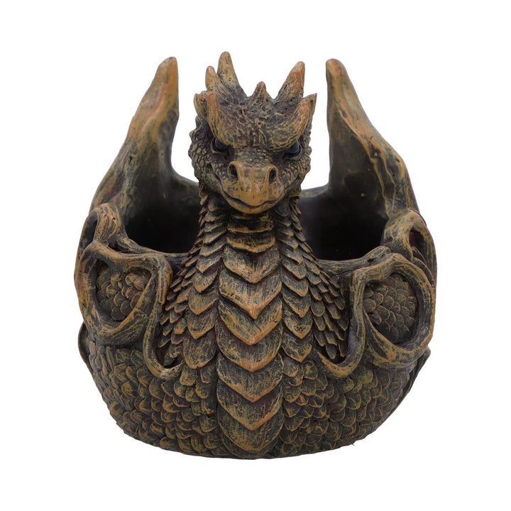 Wyvern Clutch Dragon Trinket Holder 10cm 1
