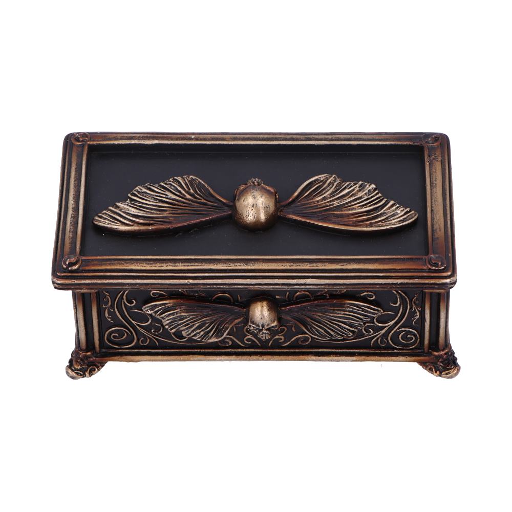 Deaths Head Treasure Ornamental Box 14.5cm 3